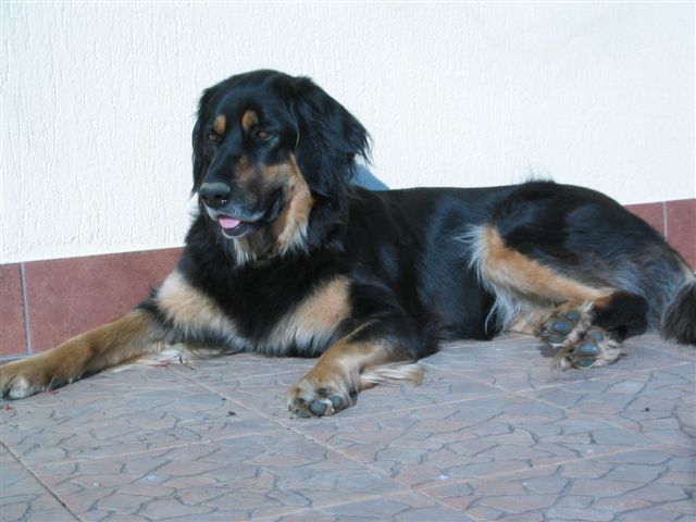 1735001.jpg