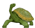 10315203.gif